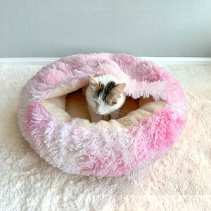 [] ybgnEX ݌v5 ~  L xbh  xbh h[ LnEX h[^ g ybgNbV 50CM ۉ ӂӂ 􂦂 ʔN ~ h g ^ q Lp 킢 