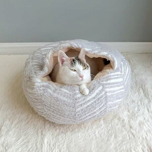 [] ybgnEX ݌v5 ~  L xbh  xbh h[ LnEX h[^ g ybgNbV 50CM ۉ ӂӂ 􂦂 ʔN ~ h g ^ q Lp 킢 