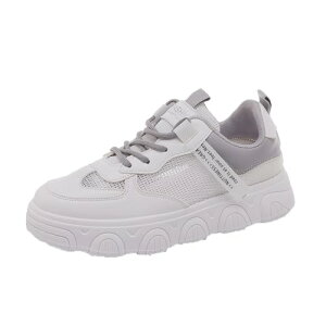 Xj[J[ fB[X [XAbv [Jbg tbgV[Y  킢 JWA ʋC EhgD ʊw ʋ d C ItBX Vv WjA 傫TCY y 