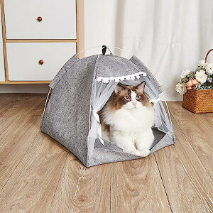 [] ybg eg  xbh L xbh  ~ 2way h[ ybgnEX  L  ybgxbh NbV \ 킢 h[^xbh S   ybgpi ܂肽