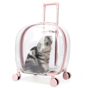 [] ybgL[ ^ s @\ L  L[obO LX^[t M ybgobO  ʋC Lknh gт₷ ybgL[P[X ʉ@ O[ U ԍ hC