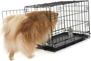 �y�z���̃g�C���t���i ���b�V�� �y�b�g�g�C�� �R���� �����̔A�|�X�g �y�b�g�̃g���[�j���O�p�i ���̂��������g���[�j���O �g�C���R���� �y�b�g�A�|�X�g O11