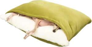 y z~p g Lp xbh _炩vVV ` t[ht Q @B\ OJo[ M11