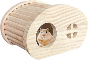 y zؐ nX^[nEX xbh B  p O11