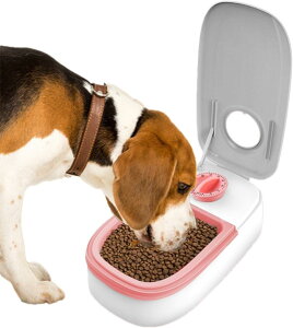 y z48 ԃ^C}[ Lp tB[_[ p ʋa ꕔXu O11