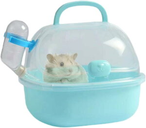 y znX^[ ^ sP[W LA Ct O O11