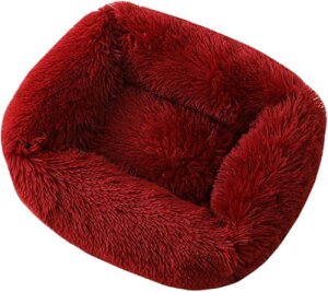 y z` ~ Lp }bgX ZtEH[~O vV ӂӂ  ybg\t@ ^^^ P M11