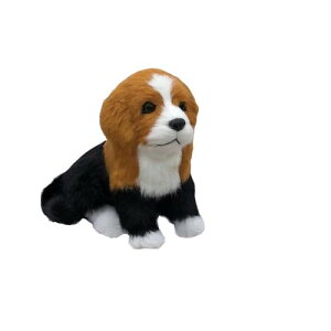 v[hʂ  { ₳G  gCv[h ʂ  傫 YQ Q ӂӂ ޏ N NX}X LO av[