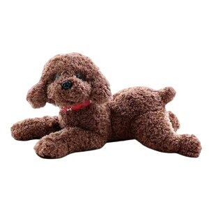 v[hʂ  efBhbO { nhCh ₳G  gCv[h ʂ  傫 YQ Q ӂӂ ޏ N NX