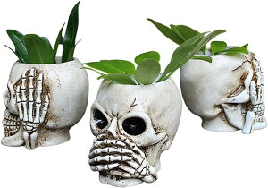 hN Aؔ v^[ CeA  W t@j[v^[XJ|bgReivg{EReie[ufR[Vz[ItBXo[K[ffR[V