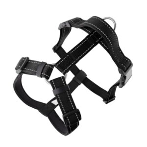 ϋvfލH^ybgn[lX ^pČEѐp hXgbv ϖC݌v S-XLTCY | p[h (bh,L)