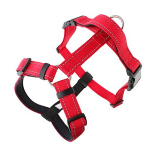 ϋvfލH^ybgn[lX ^pČEѐp hXgbv ϖC݌v S-XLTCY | p[h (bh,L)