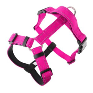 ϋvfލH^ybgn[lX ^pČEѐp hXgbv ϖC݌v S-XLTCY | p[h ([Y,M)