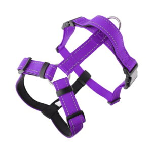 ϋvfލH^ybgn[lX ^pČEѐp hXgbv ϖC݌v S-XLTCY | p[h (ނ炳,L)