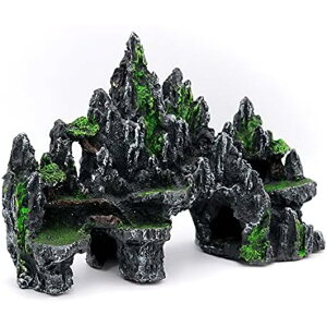  ANAE IuWF I[ig u  A ঒ Mы Ϗ܋  CeA ٍ gl B  A  ʂ蓹 R  R fR 傫 CpN