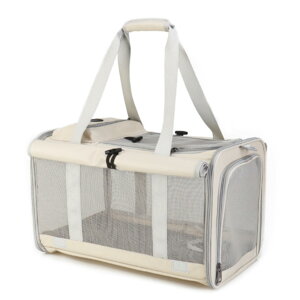 ybgpʋC܂݃bN ĐF 2C[ e gxL[P[X