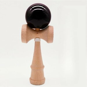 {ʋF  Zpq̃tBbglXƃW[ؐmߋؐXL{[ wZ̗Kłgp܂ (F)