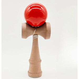 {ʋF  Zpq̃tBbglXƃW[ؐmߋؐXL{[ wZ̗Kłgp܂ (F)