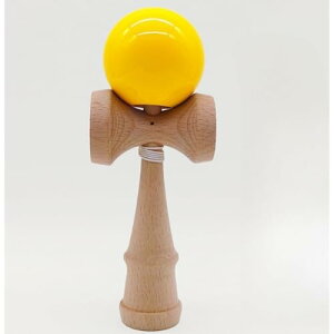 {ʋF  Zpq̃tBbglXƃW[ؐmߋؐXL{[ wZ̗Kłgp܂ (F)