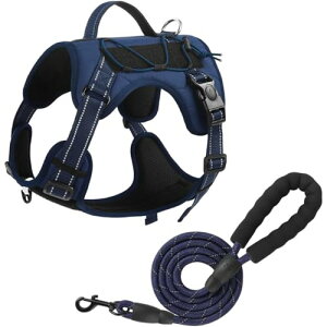 n[lX [h ̌^ ^ ^ fUC   ʋC J h U Oo p EȒP Ŝ߂̔ˍ (IW,S)