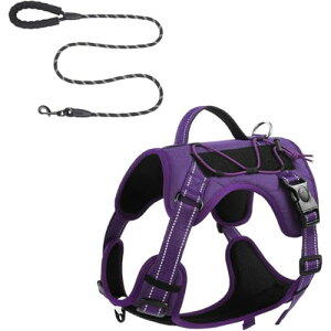 n[lX [h ̌^ ^ ^ fUC   ʋC J h U Oo p EȒP Ŝ߂̔ˍ (IW,S)