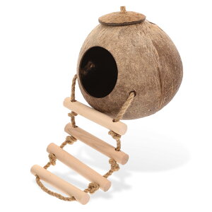 ?nX^[nChAEgnEX ؐ͂t ybgp݂艺B V őϋv̂KȐꏊƗVя