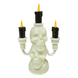 �X�J���L�����h�����C�g�A�X�J���L�����h�������v|�S�XLED�L�����h��-�n���E�B���t���[�����X�L�����h�������v�d�r���z���[�X�J���C��LED�L�����h�����C�g�����z�[���f�R���[�V����