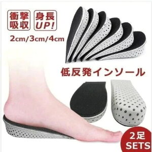 2ZbgC\[ V[Nbg Y fB[X GAC\[ GALbv ~ q[