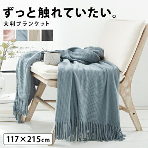 ブランケット 大判 毛布 タオルケット 通販 価格比較 価格 Com
