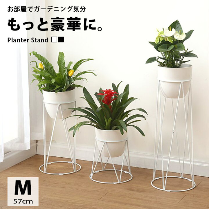 楽天市場】フラワースタンド 屋内 プランター スタンド 室内 プランタースタンド 割れない 高さ57cm 幅28cm 観葉植物 台 北欧 玄関 植木鉢乗せる ラック 花台 観葉 植物 棚 おしゃれ アイアンラック 置き 置き台 インテリア 雑貨 グリーン 植木鉢 grd-028【P】 : REWARD ... 楽天市場】フラワースタンド 屋内 プランター スタンド 室内 プランタースタンド 割れない 高さ57cm 幅28cm 観葉植物 台 北欧 玄関 植木鉢乗せる ラック 花台 観葉 植物 棚 おしゃれ アイアンラック 置き 置き台 インテリア 雑貨 グリーン 植木鉢 grd-028【P】 : REWARD ...