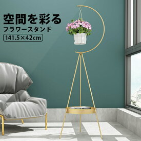 楽天市場 観葉植物 ハンギング インテリア小物 置物 インテリア 寝具 収納 の通販 楽天市場 観葉植物 ハンギング インテリア小物 置物 インテリア 寝具 収納 の通販