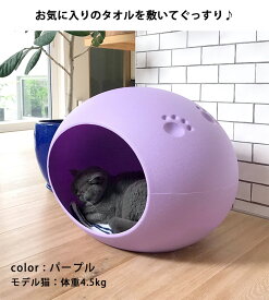 猫 ハウス 犬 ベッド ドーム 春夏 ちぐら 室内 おしゃれ 洗える キャットハウス 大型 かわいい 猫ベッド 犬ベッド 猫用 犬用 ペット ペットベッド ベット 丸型 大型猫 小型犬 丸洗い ネコ グッズ ねこ 用品 プラスチック ホワイト水色 pet295【P】