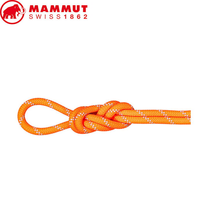 楽天市場】マムート MAMMUT ロープ クライミング用品 9.5 Alpine Dry 