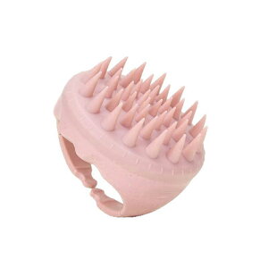 XJvuV }bT[W Vv[uV wbhXpuV VR C uV PA KAN002800