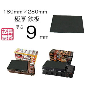 ɌS 9mm 28Z`×18Z` t t2 y C^j Iwatani F΂Ċ F΂叫  AEghA ē BBQ O v[g ЂƂ \ o[xL[ Xe[L JZbgR
