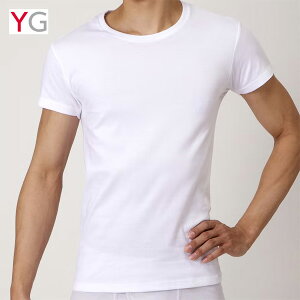 GUNZE �O���[ YG ���C�W�[ �N���[�l�b�N ����T�V���c ��100�� ���n �R�b�g�� �R�ۖh�L �r�W�l�X �A���_�[�E�F�A ���� �C���i�[ �p���c ���� �����Y YVP013A