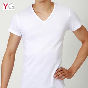 GUNZE �O���[ YG ���C�W�[ V�l�b�N ����T�V���c ��100�� ���n �R�b�g�� �R�ۖh�L �r�W�l�X �A���_�[�E�F�A ���� �C���i�[ �p���c ���� �����Y YVP015A
