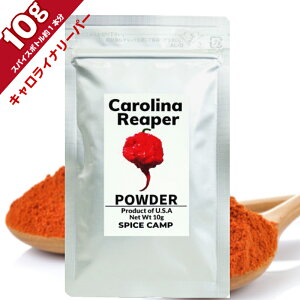 yĂ܂zLCi[p[  10g h hq {AJA SPICE CAMP  }\ |bLKAiEYEFAۑ[|nol/WLA/Lg[~