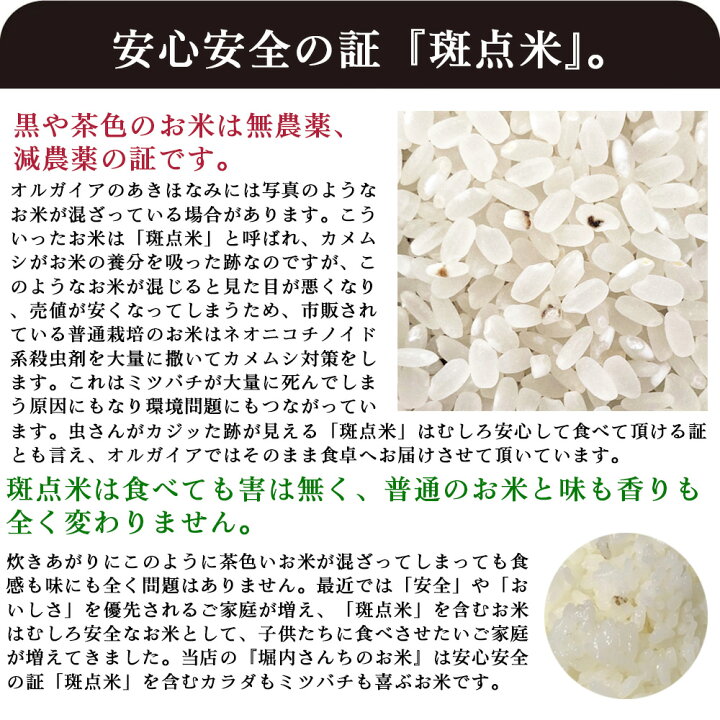 楽天市場 あきほなみ 鹿児島県産 1 8kg 送料無料 令和２年産 減農薬米 無洗米 精米済み ポッキリ レジスタントスターチ 冷ご飯ダイエットにも マラソン ポイント消化 オルガイア 楽天市場店