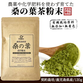 農薬 化学肥料不使用 桑の葉茶粉末 青汁 お得な120g 100%桑茶パウダー 鹿児島県産 国産【完全無添加・低温粉砕製法】桑の葉茶・ダイエット/糖質制限/サプリメント 送料無料 無農薬