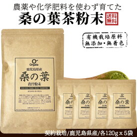 国産 桑の葉パウダー 600g 約5ヵ月分 ＜鹿児島県産 桑茶青汁＞桑の葉100%の本格青汁粉末 【無添加、無着色、保存料、甘味料不使用】体にやさしいノンカフェイン