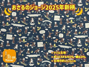 ycCnzLN^[ñW[W2025NVyn w cC  W[W ̎q j̎q erAj LN^[ v[g jz