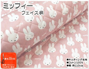 }\yLeBOnzLN^[~btB[tFCXyn w ʉʊw ~btB[  Lg j̎q ̎q G{ er Aj oY j v[