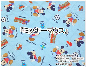 }\yLeBOnzLN^[~bL[}EXyn w ʉʊw fBYj[ ~bL[ h 킢 TbJ[  D {[ {[C Lg j