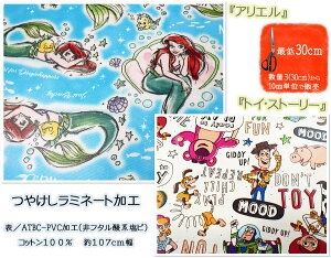 }\y~l[gHzLN^[ngCEXg[[AGyn  obN e[u NX  ~l[g J G{ LN^[ fBYj[ g