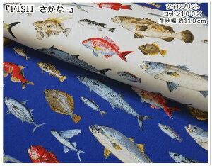 }\ycCnzƂ񂱂΂₵wFISH-ȁxyn ʉʊw XbN Gv q ǂ j̎q w cC  wpi  ނ C  ^Cz