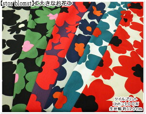 }\ycCnzk ӂ[vgystor blomstzyn Rbg΂₵ ԕ w v[g  }U[ j k t[z