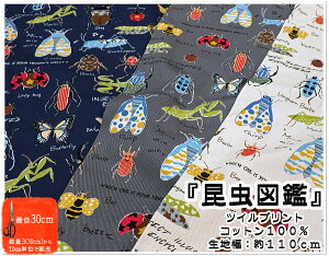 }\ycCnz}Ӂ񂿂イyn ʉʊw XbN Gv q ǂ j̎q w cC  wpi  p JugV Ԃ 