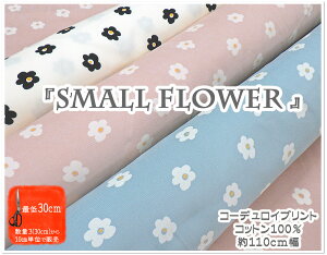 }\yVcR[fCvgzwX[t[xyn H~ R[e R[fC p[J[ }t[ |` t@ubN g Xq Z[^[ ~ 킢 