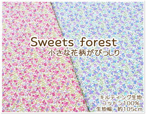 }\yLeBOnzwSWEET@FORESTxȉԕтyn w ʉʊw ̎q   ԕ t[ CX^ f v[g ΂₵z